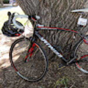 Meet your Posher, Darrell